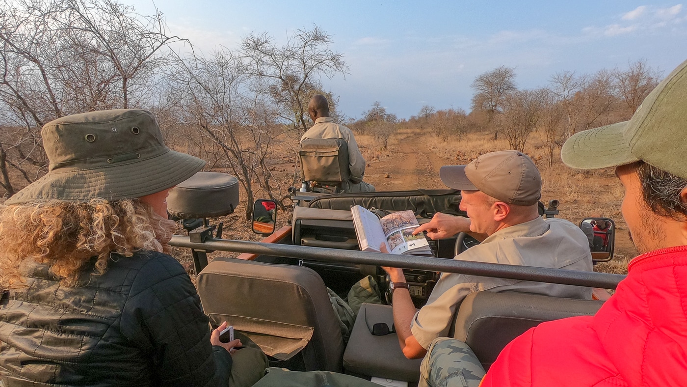 Krüger Nationalpark Safari: Der ultimative Guide für Einsteiger